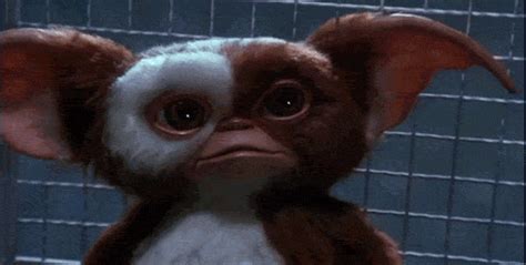 gremlins gif